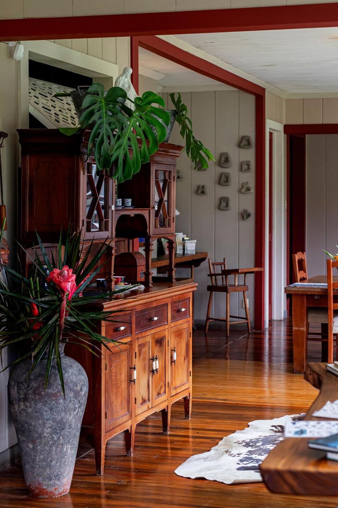 Aquiares Coffee Farm Casa Hacienda La Esperanza Bed & Breakfast Туриалба Екстериор снимка