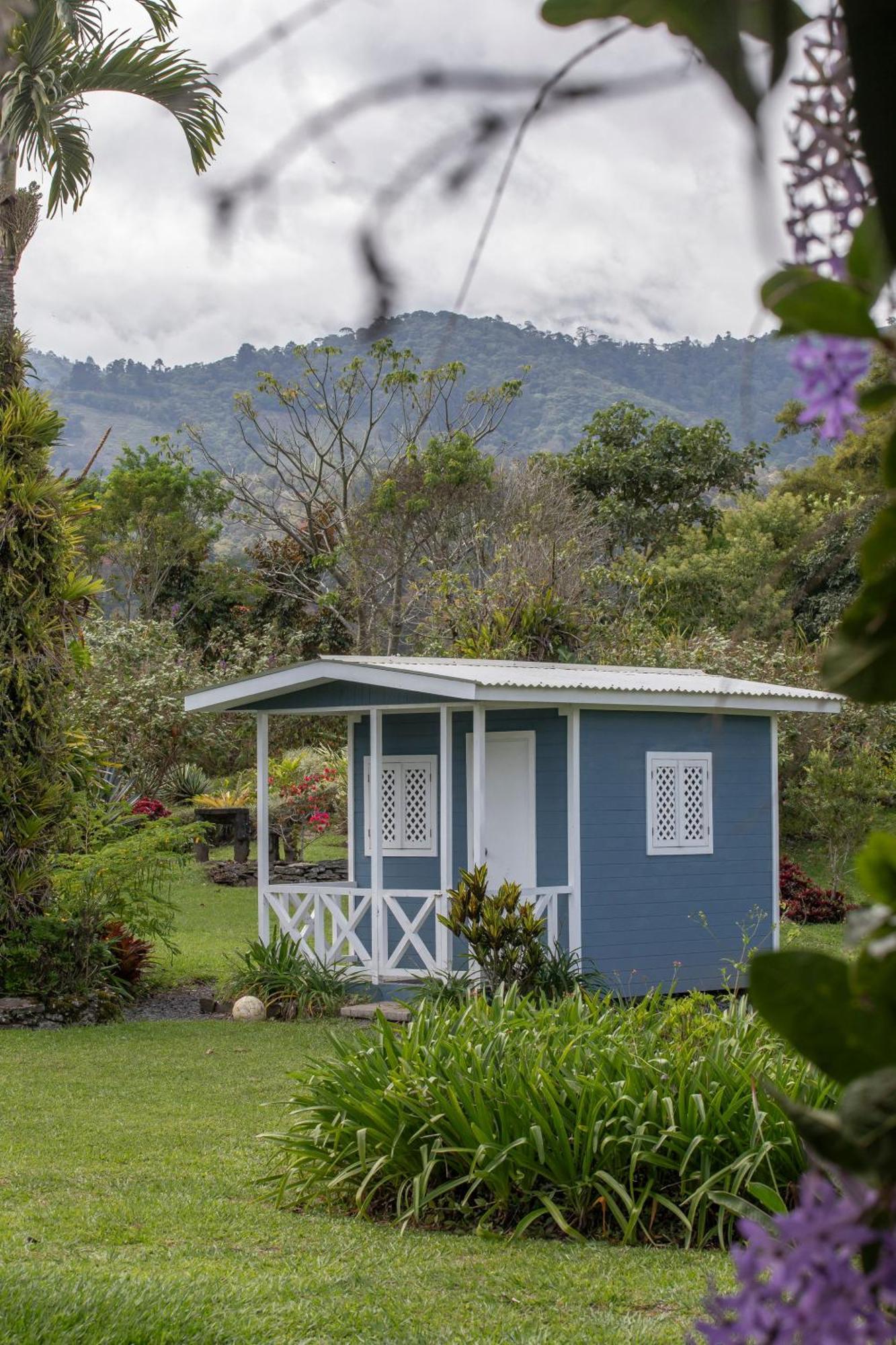 Aquiares Coffee Farm Casa Hacienda La Esperanza Bed & Breakfast Туриалба Екстериор снимка