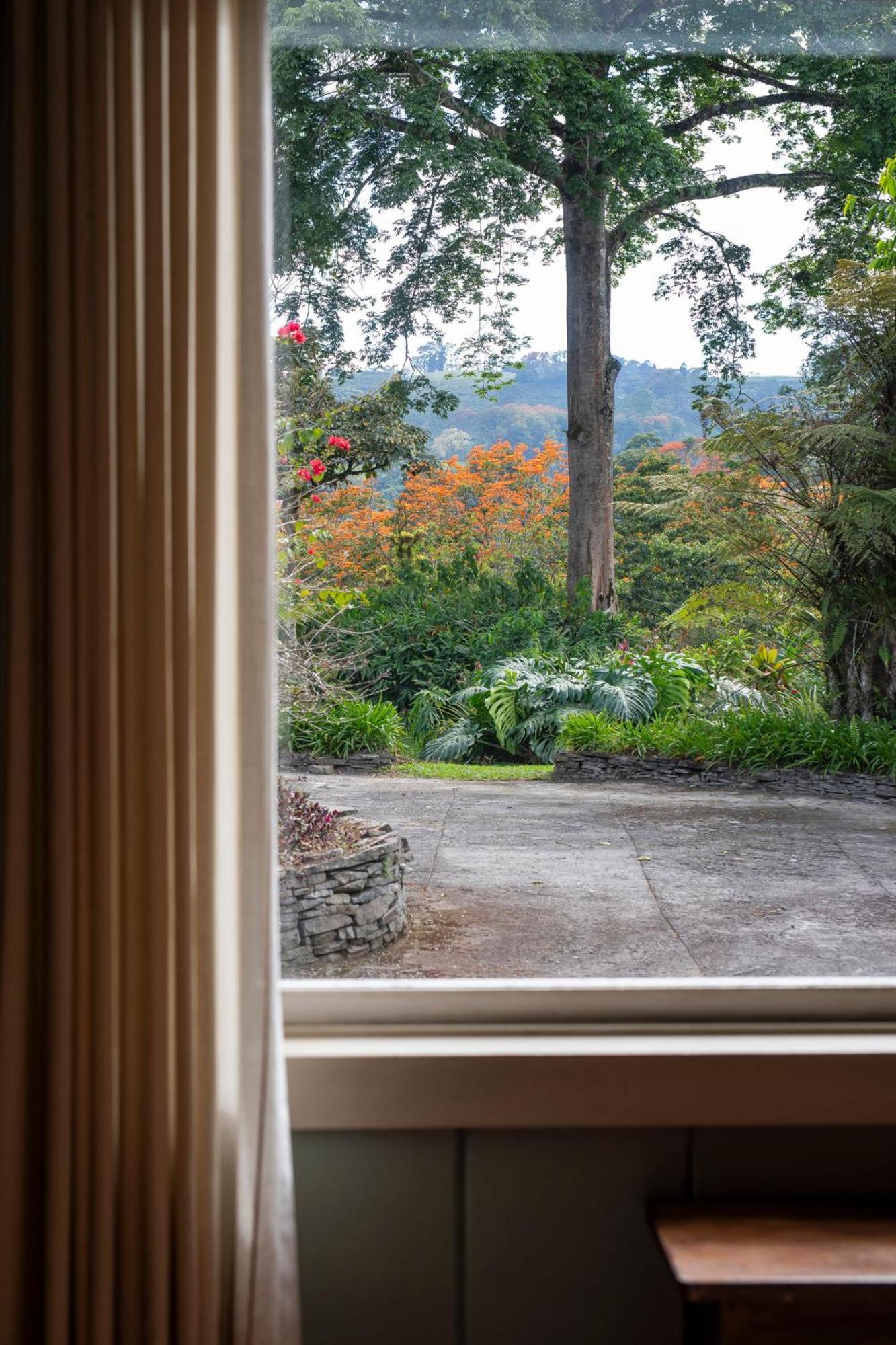 Aquiares Coffee Farm Casa Hacienda La Esperanza Bed & Breakfast Туриалба Екстериор снимка