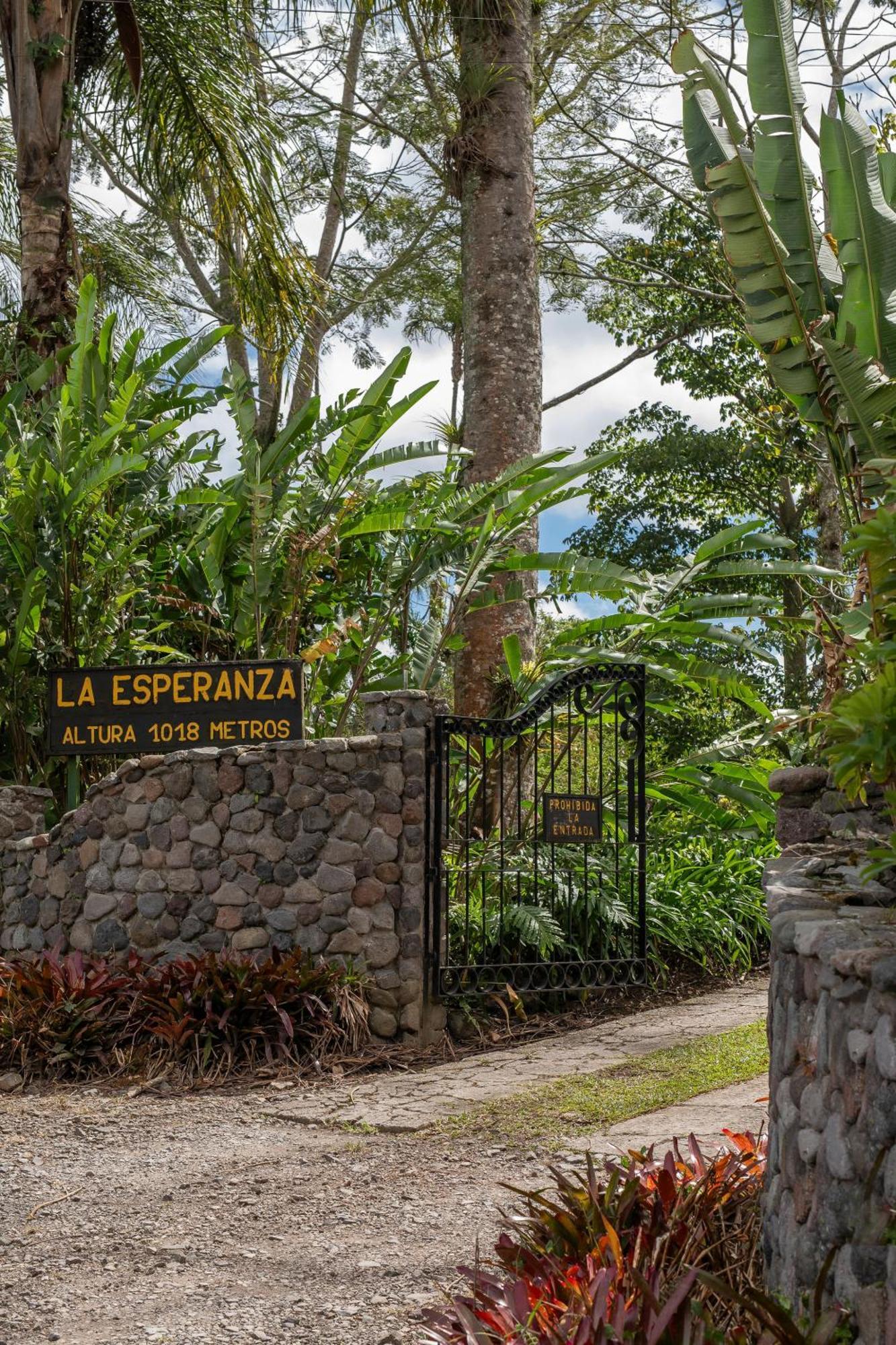 Aquiares Coffee Farm Casa Hacienda La Esperanza Bed & Breakfast Туриалба Екстериор снимка
