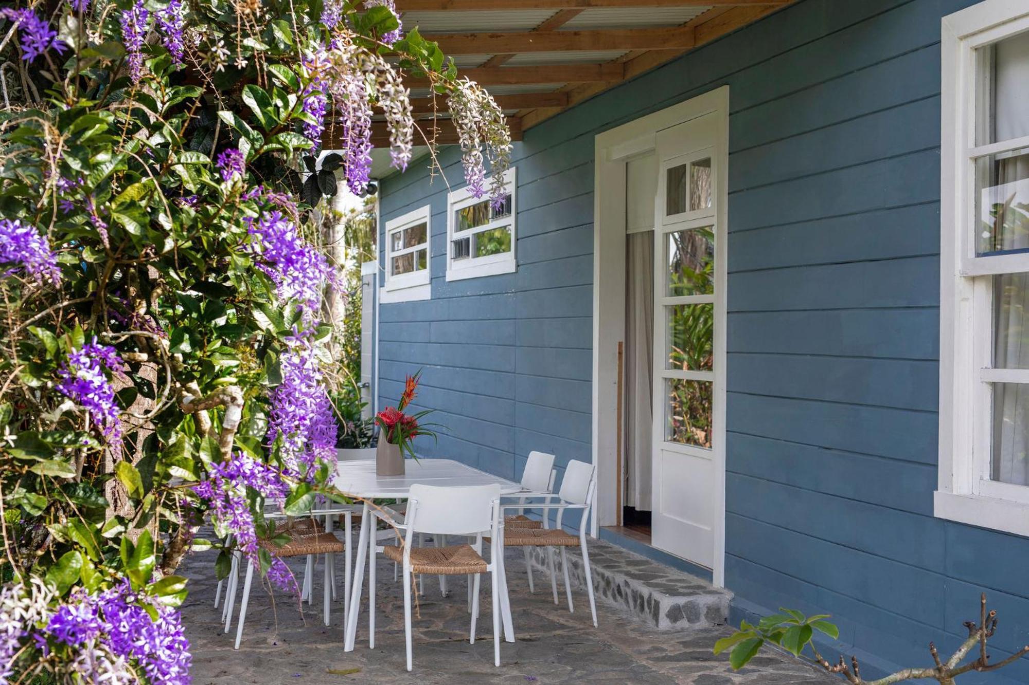Aquiares Coffee Farm Casa Hacienda La Esperanza Bed & Breakfast Туриалба Екстериор снимка