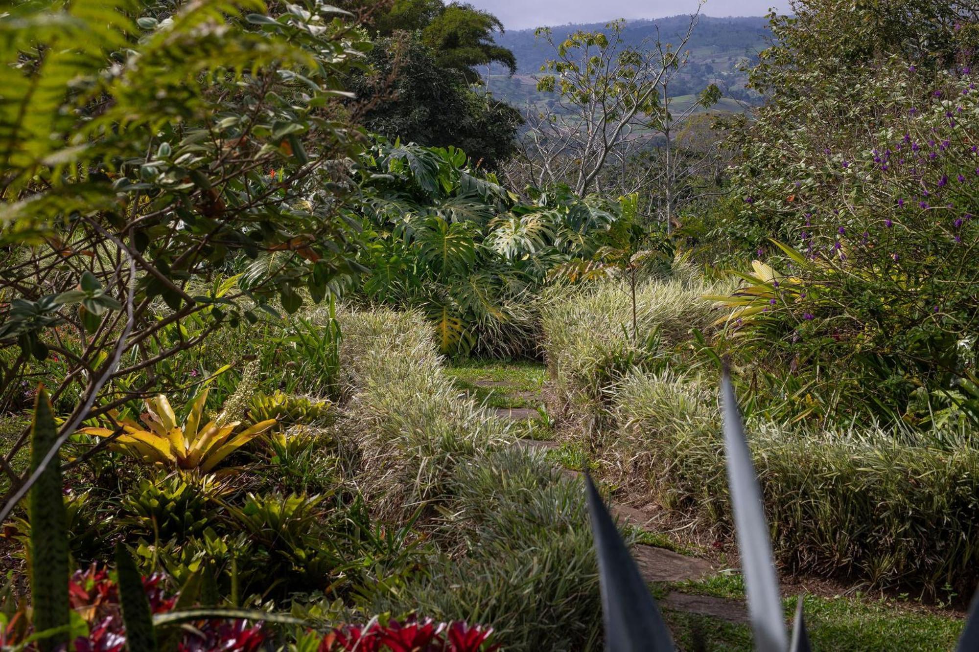 Aquiares Coffee Farm Casa Hacienda La Esperanza Bed & Breakfast Туриалба Екстериор снимка