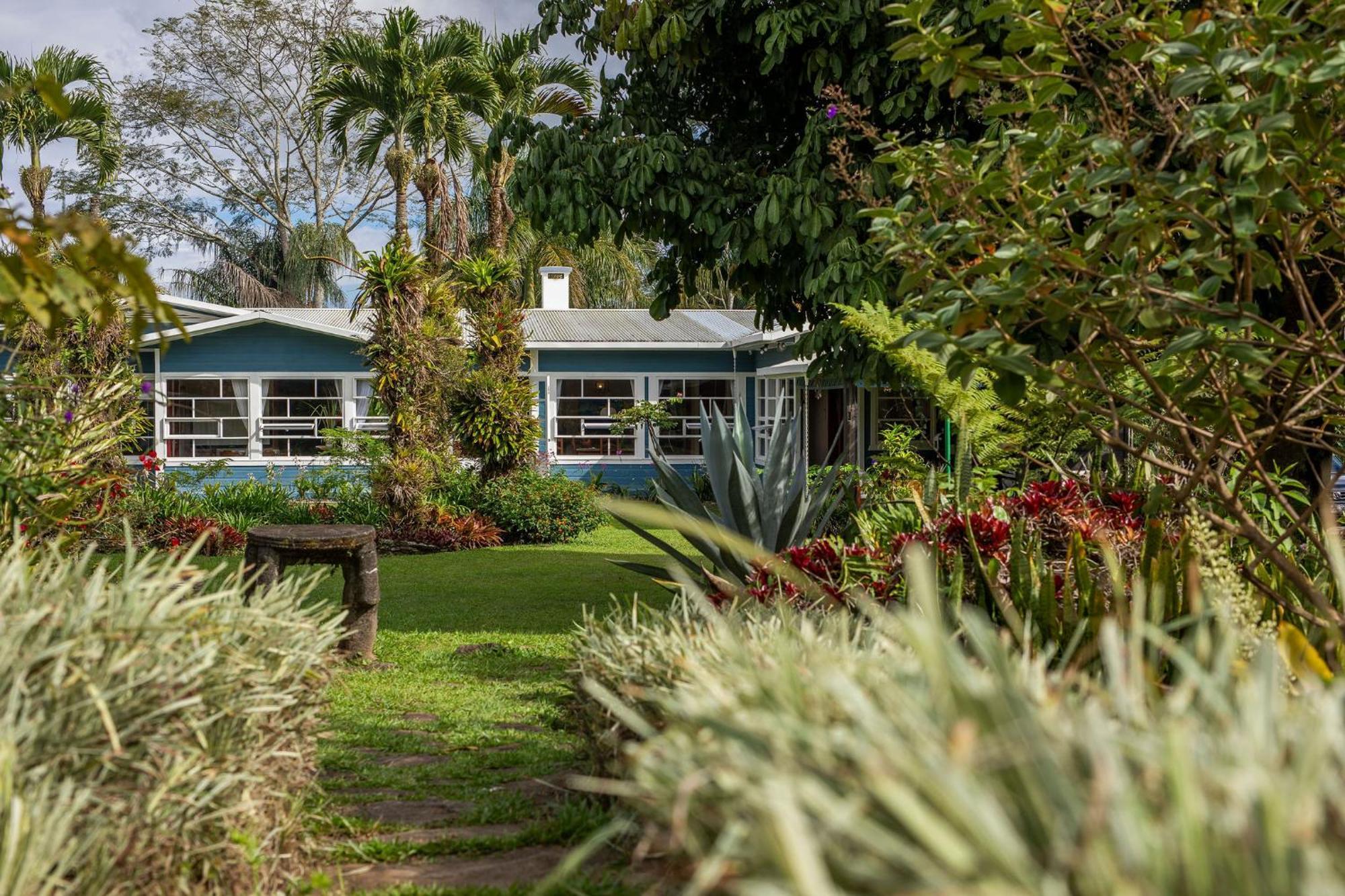 Aquiares Coffee Farm Casa Hacienda La Esperanza Bed & Breakfast Туриалба Екстериор снимка