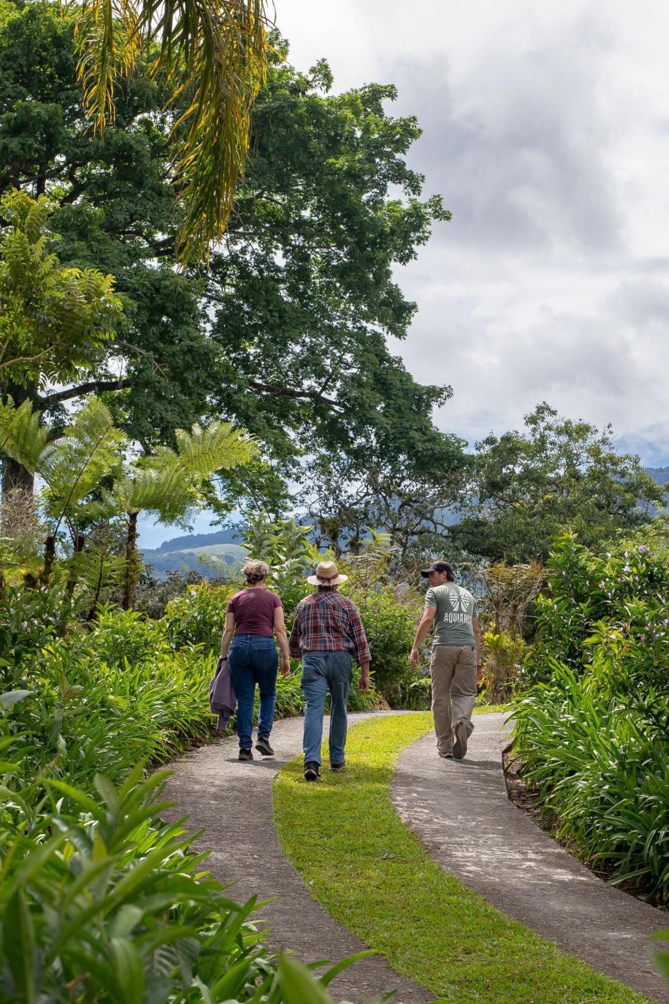 Aquiares Coffee Farm Casa Hacienda La Esperanza Bed & Breakfast Туриалба Екстериор снимка