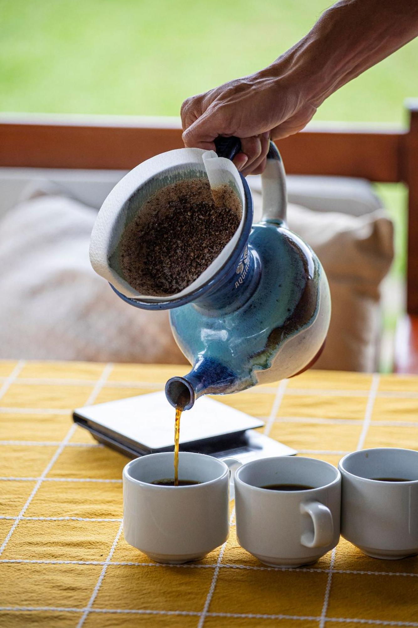 Aquiares Coffee Farm Casa Hacienda La Esperanza Bed & Breakfast Туриалба Екстериор снимка