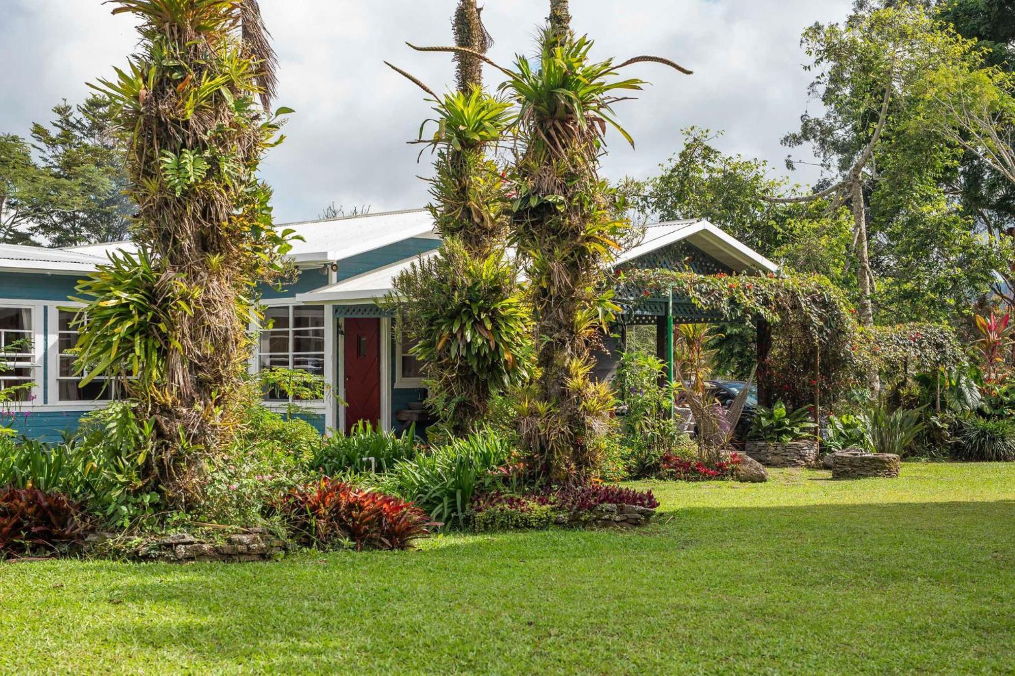 Aquiares Coffee Farm Casa Hacienda La Esperanza Bed & Breakfast Туриалба Екстериор снимка