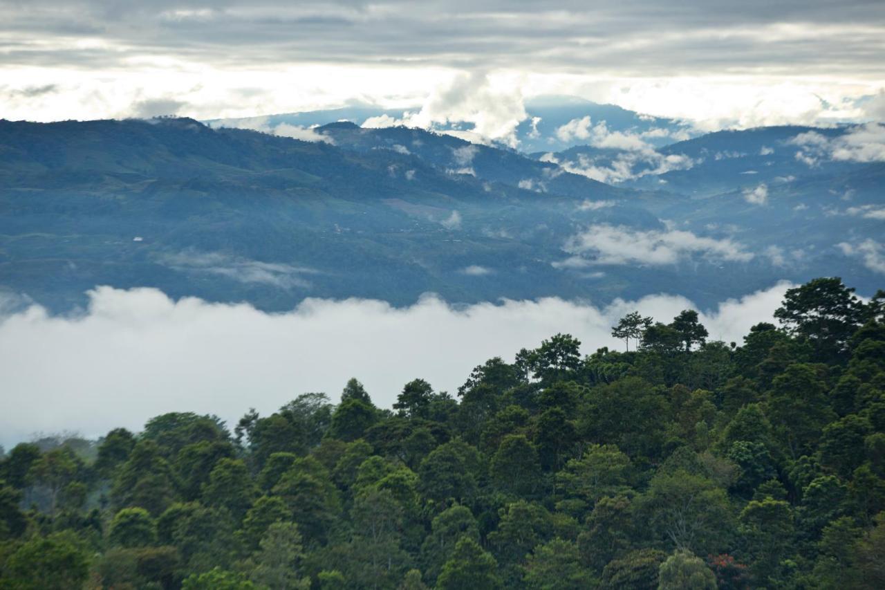 Aquiares Coffee Farm Casa Hacienda La Esperanza Bed & Breakfast Туриалба Екстериор снимка